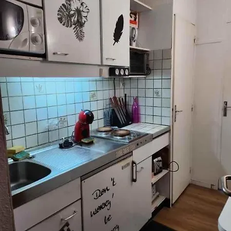 6 Couchages Pied De Pistes La Mongie