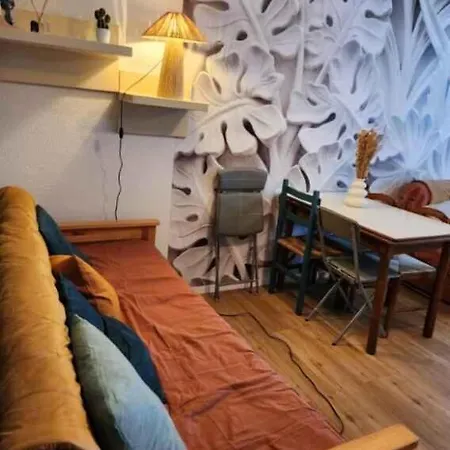 6 Couchages Pied De Pistes *